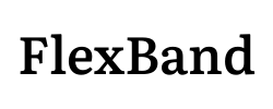 ​FlexBand​ - logo